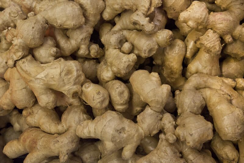 Amazon.com : Ginger Root, Whole fresh Ginger Rhizome aka (Root). 8
